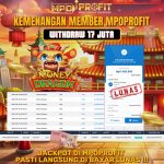 WhatsApp Image 2025-09-19 at 19.44.51